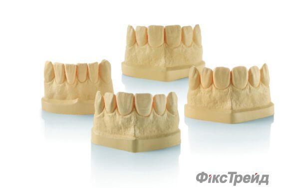 Моделі зубів із поліуретану 4-х форм