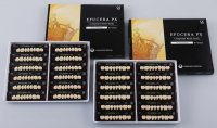 Набір жувальних зубів Efucera PX, 8 шт.