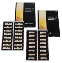 Набір передніх зубів CROWN PX, 6 шт.